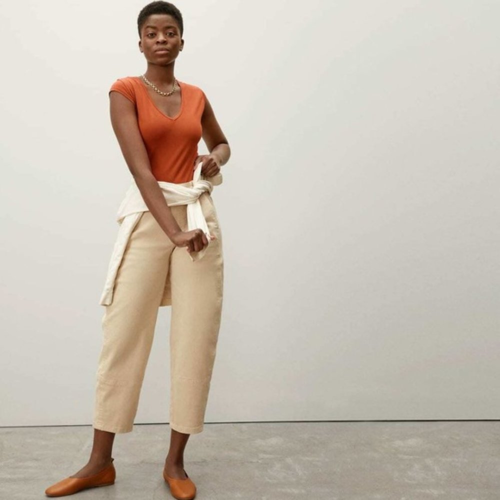 Everlane V-Neck Bodysuit